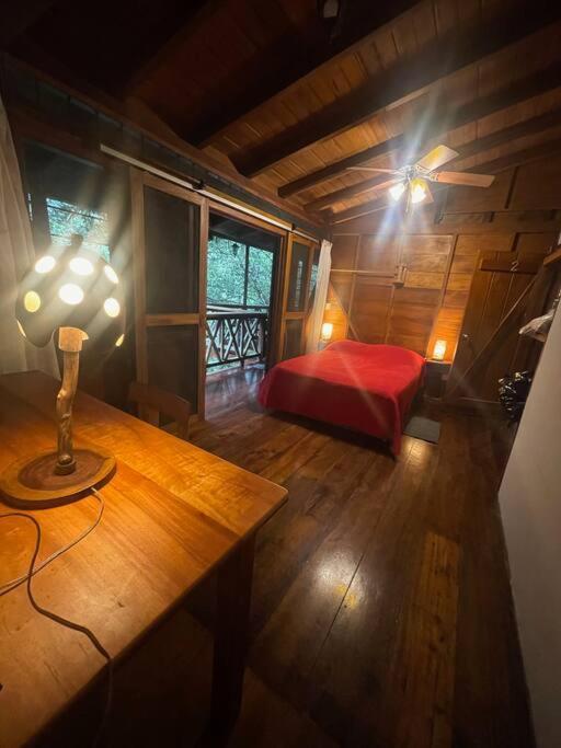 Caoni Riverside Lodge Пуерто-Кіто Екстер'єр фото