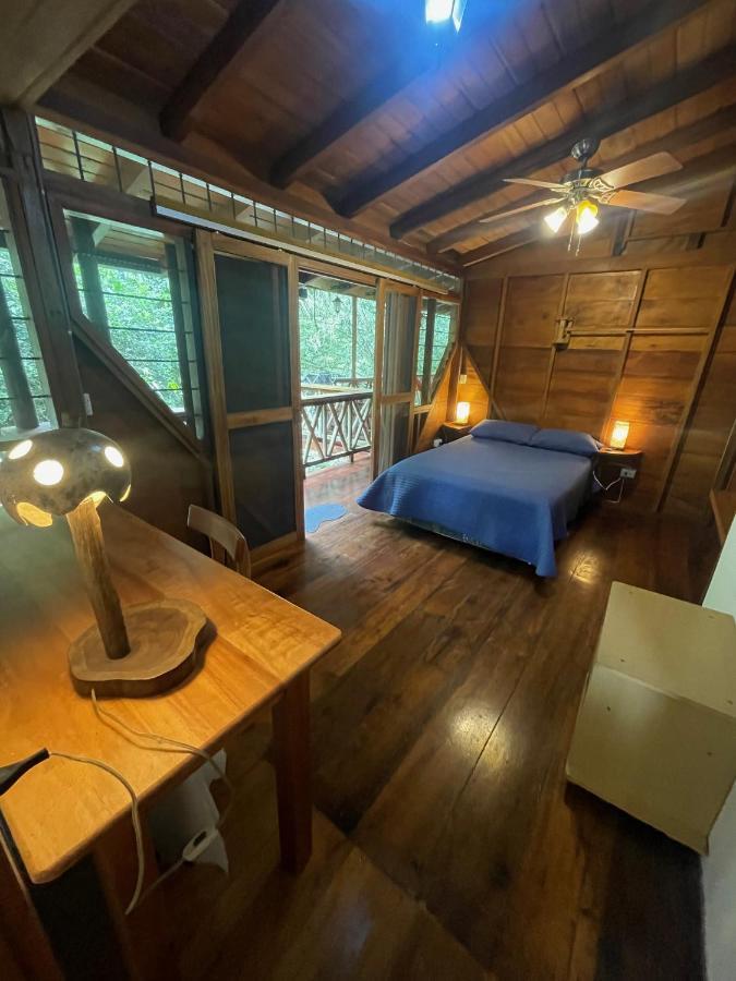 Caoni Riverside Lodge Пуерто-Кіто Екстер'єр фото