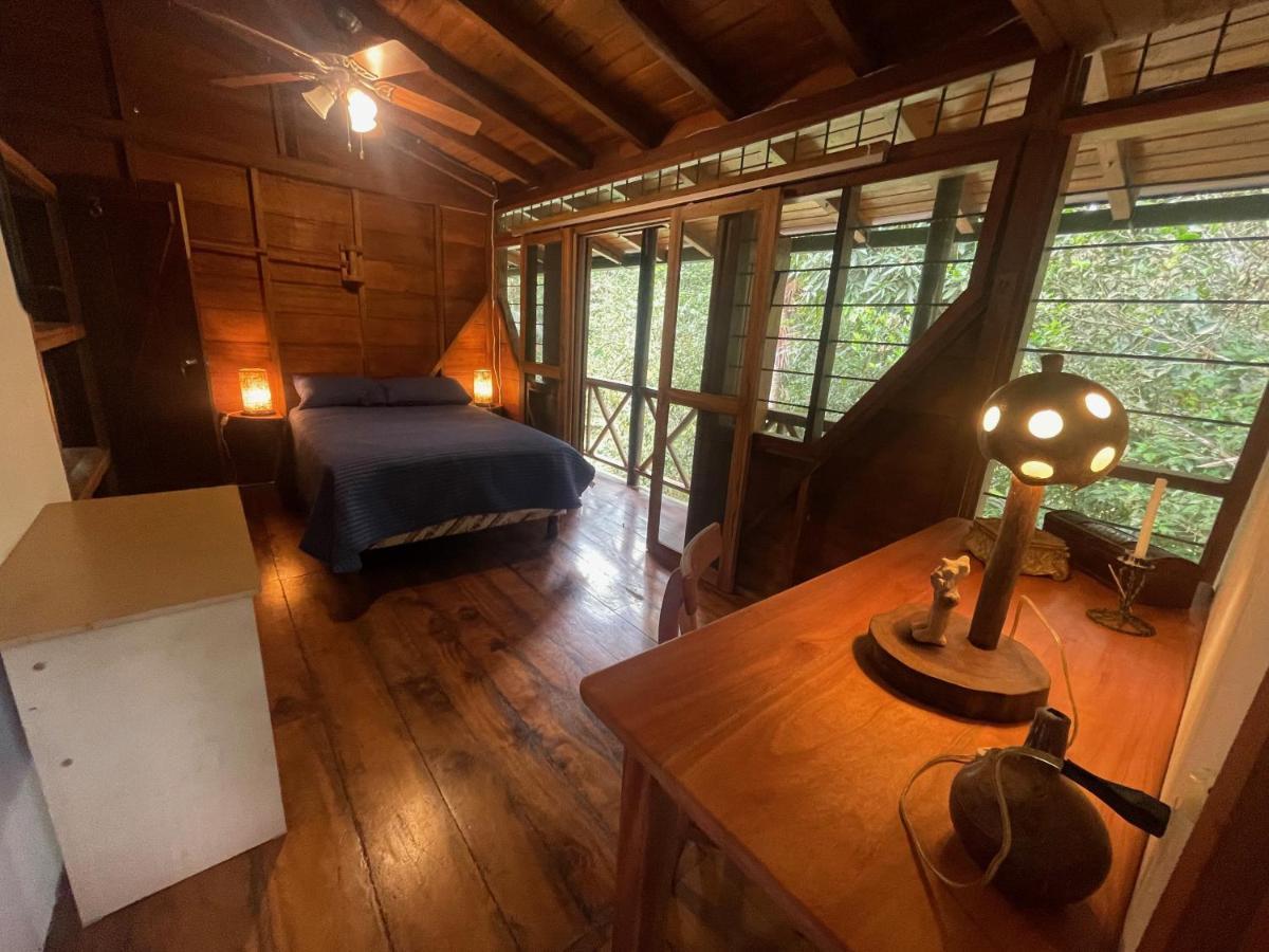 Caoni Riverside Lodge Пуерто-Кіто Екстер'єр фото