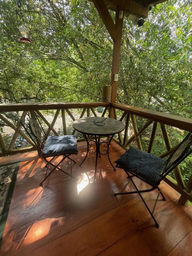 Caoni Riverside Lodge Пуерто-Кіто Екстер'єр фото